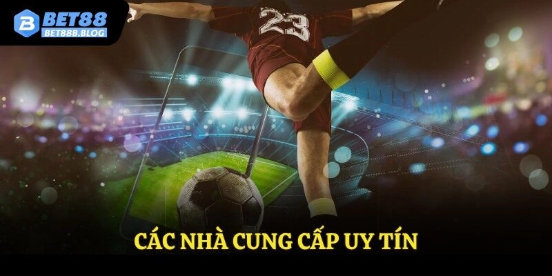 Các nhà cung cấp uy tín