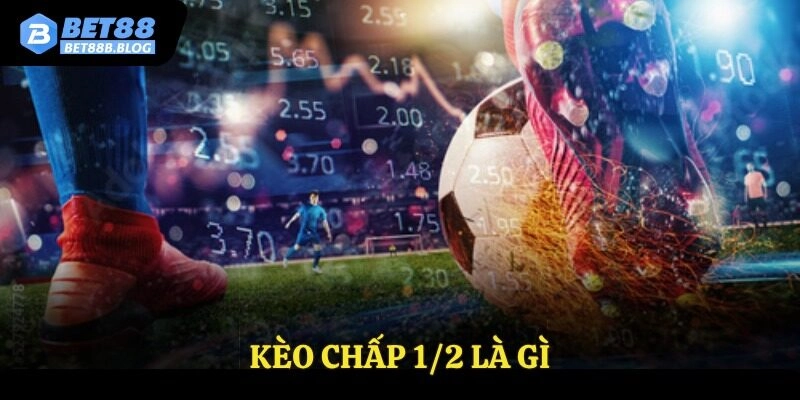 Kèo Chấp 1/2 Là Gì? Bí Quyết Đọc Kèo Và Đặt Cược Chuẩn Xác Nhất