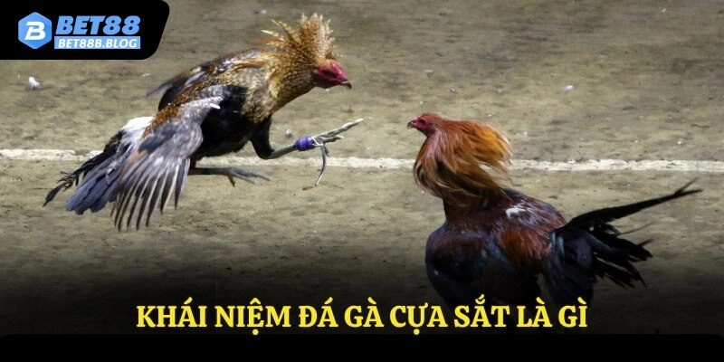 Khái niệm đá gà cựa sắt là gì
