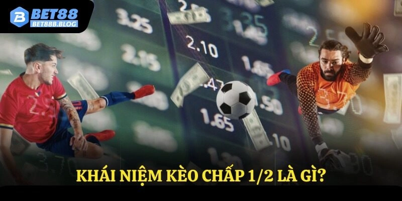 Khái niệm kèo chấp 1/2 là gì?