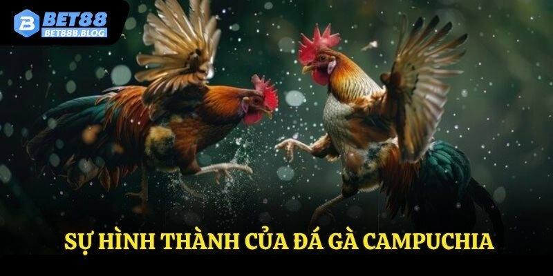 Sự hình thành của đá gà Campuchia